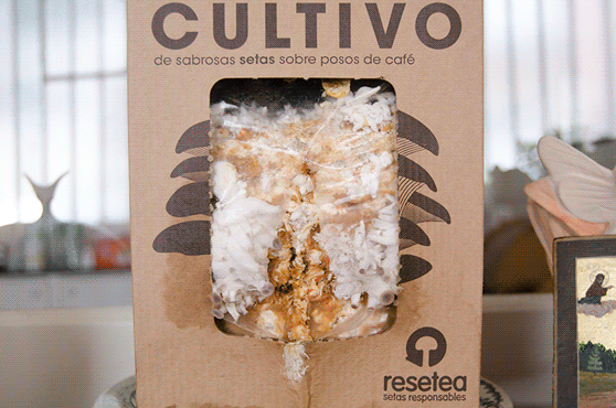 resetea-regalo-navidad-unisex